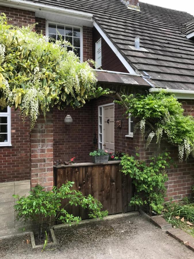 Bed and Breakfast High Mead Woodsford Exterior foto